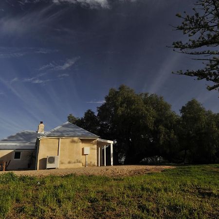 Peppermint Farm Cottage Mclaren Vale Exteriér fotografie